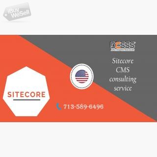 Sitecore consulting service houston