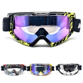Ski Snowboard Goggles