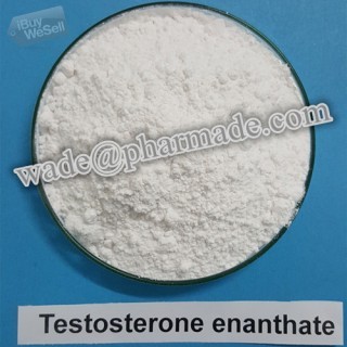 Testosterone Enanthate Powder Raw Steroids Powder
