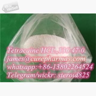 Tetracaine Hcl powder Tetracaine CAS.136-47-0 no customs issues