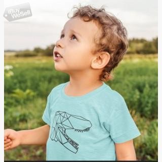 Toddler Triblend Dinosaur Print Shirt