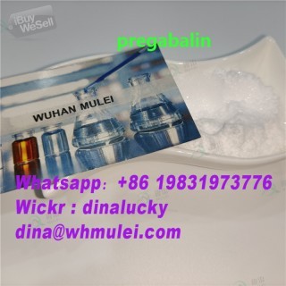 Top pregabalin powder supplier sell 148553-50-8 pregabalin powder with lower price pregabalin powder