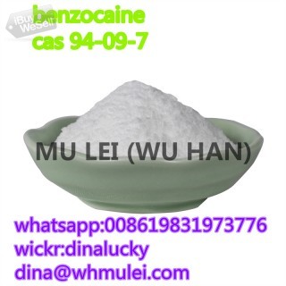 Top raw benzocaine powder supplier 99% purity 94-09-7 with safe delivery