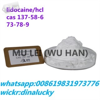 Top raw lidocaine hcl powder supplier 73-78-9 99% purity