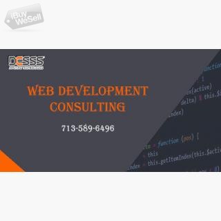 Web Development Consulting houston
