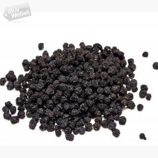 Wholesale of Aronia from the manufacturer at optimal prices