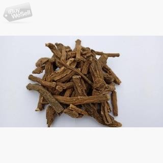 Wholesale of Dandelion root from the manufacturer at optimal prices (England ) London