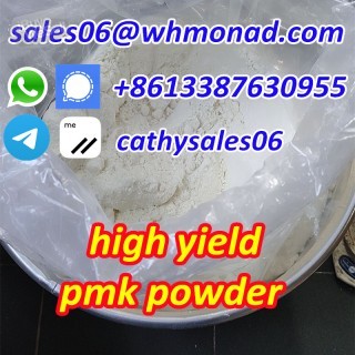 new p powder to oil CAS 28578-16-7 NEW PMK liquid / NEW bmk pmk glycidate via secure line