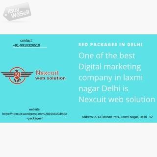 seo packages in delhi – nexcuit web solution